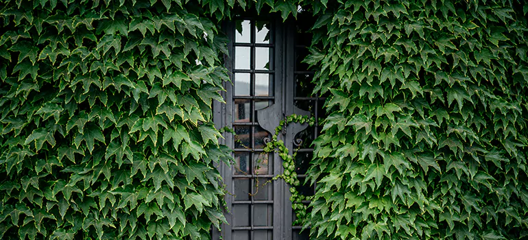 Garden Gate Repair in Sarasota, FL