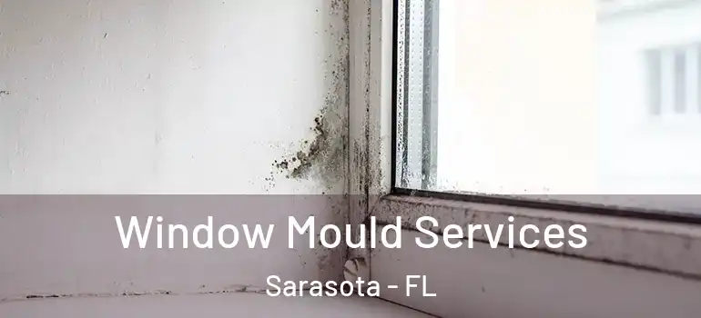  Window Mould Services Sarasota - FL